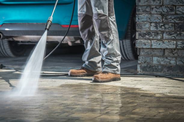 Best Driveway Cleaning and Restoration in Cleveland, AL