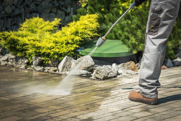 Best Roof Cleaning and Mildew Removal in Cleveland, AL